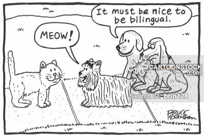 'It must be nice to be bilingual.'